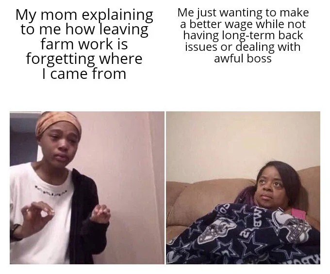 21 Hilarious Me Explaining to My Mom Memes Bridging the Generational Gap16