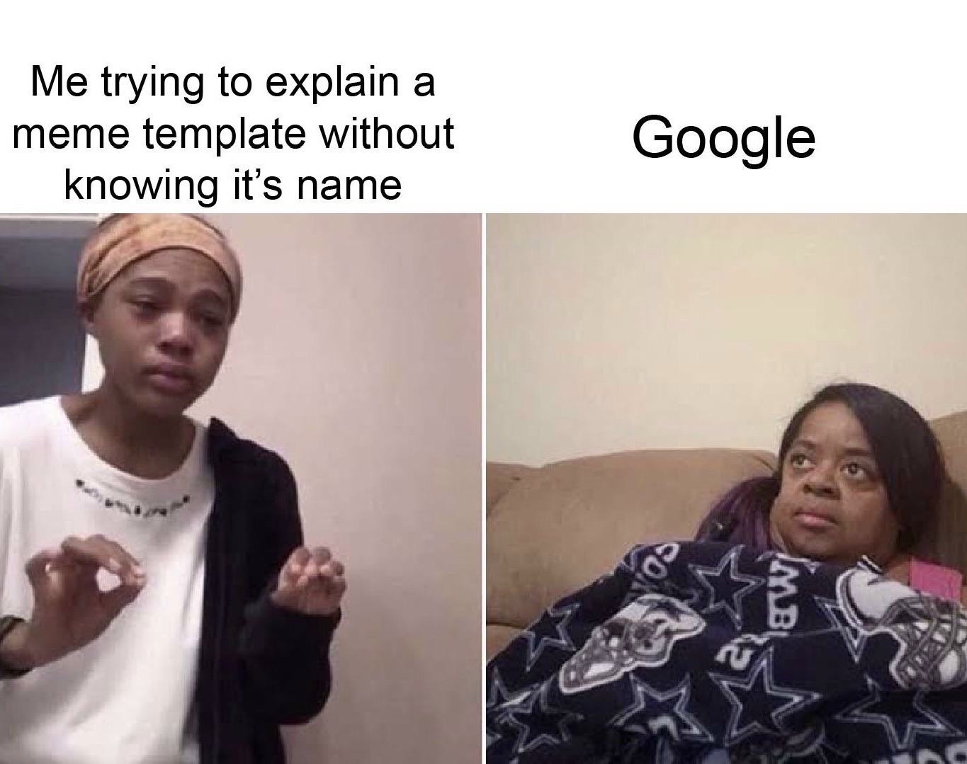 Me Explaining to My Mom Meme: Me trying to explain a meme template without knowing it's name