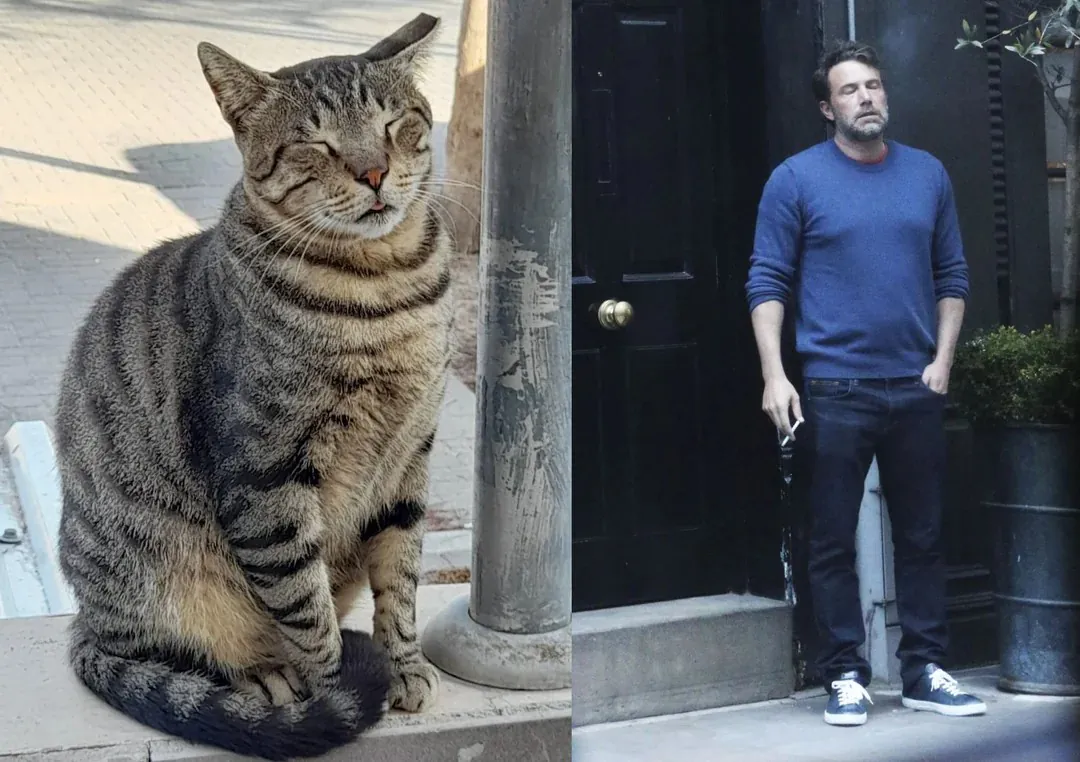 23 Ben Affleck Smoking Memes & Templates for Daily Exhaustion11