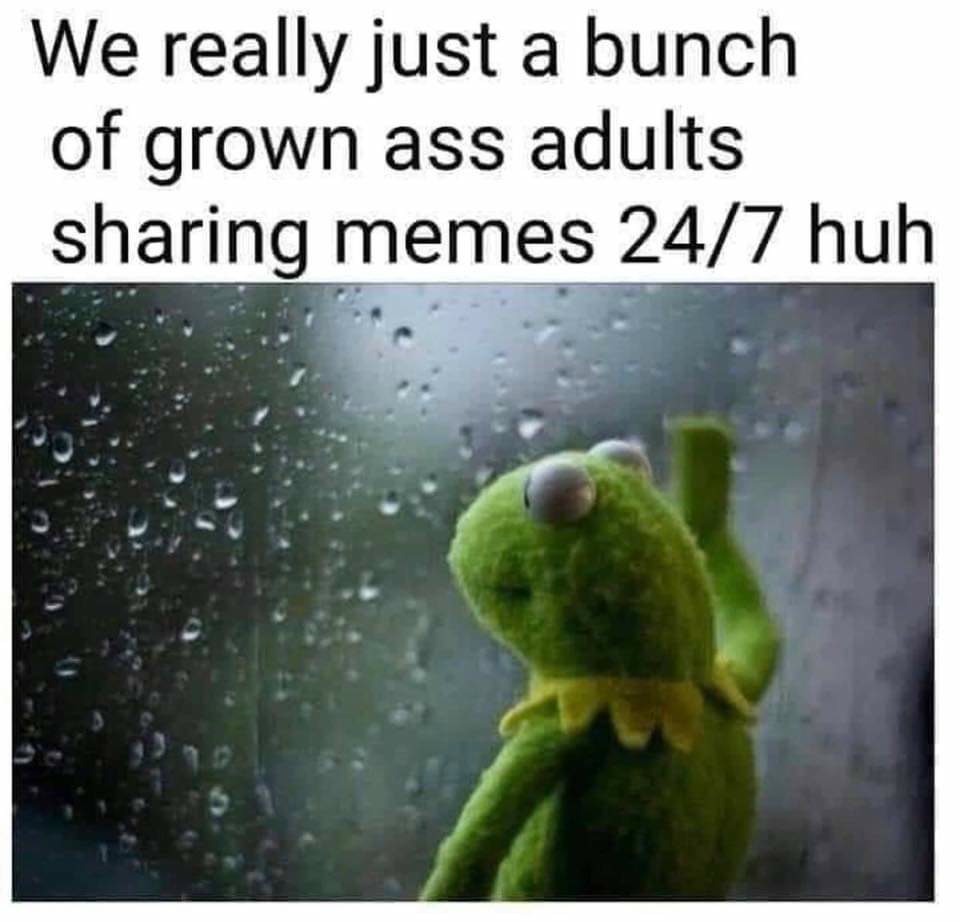 23 Kermit Window Meme Examples & Templates to Capture Your Quietest Moments5 23 Kermit Window Meme Examples & Templates to Capture Your Quietest Moments5