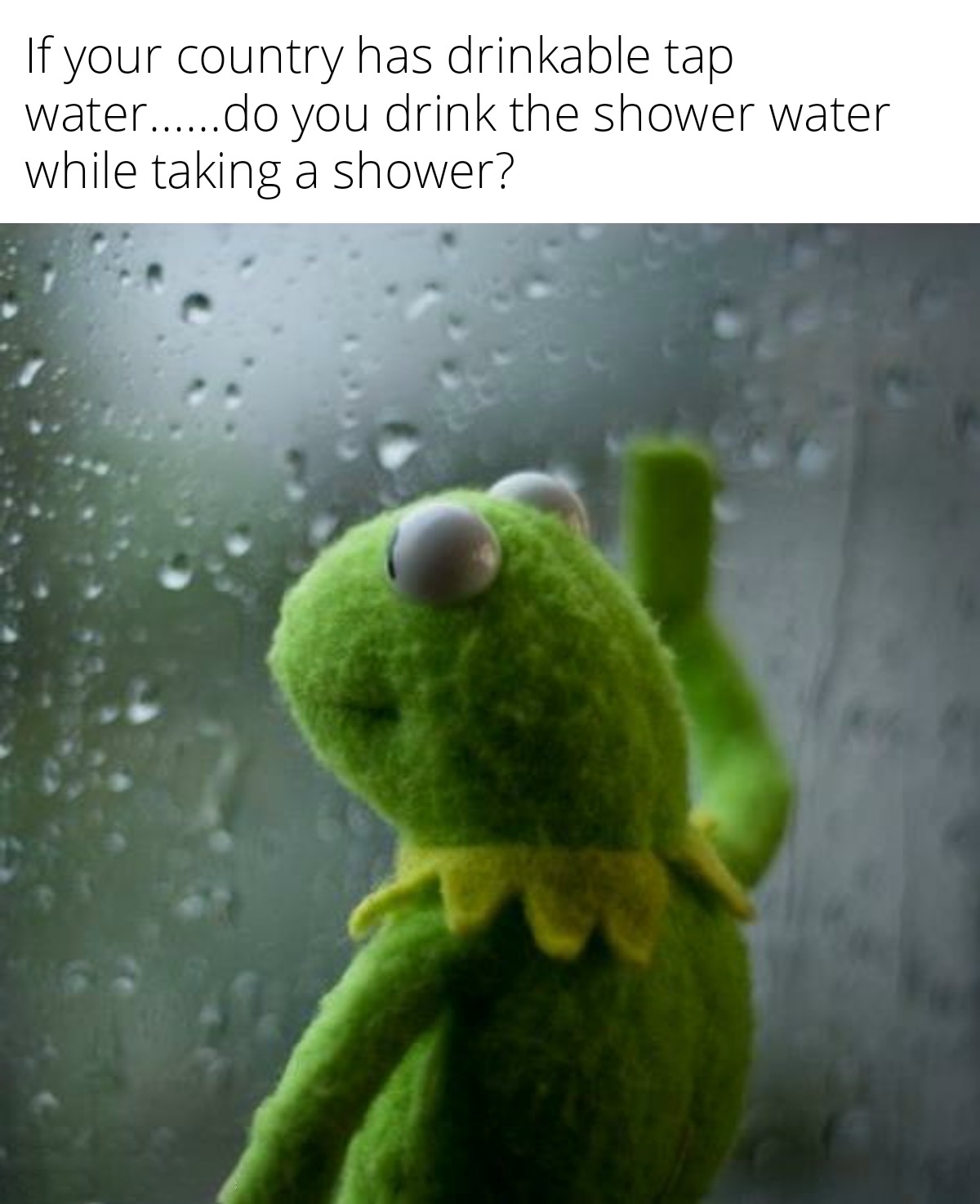 23 Kermit Window Meme Examples & Templates to Capture Your Quietest Moments8 23 Kermit Window Meme Examples & Templates to Capture Your Quietest Moments8