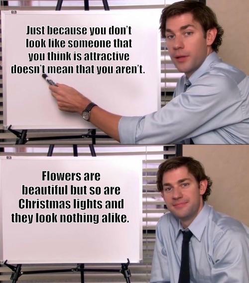 25 Jim Halpert Explains Memes Best Examples of Cynical Observations13