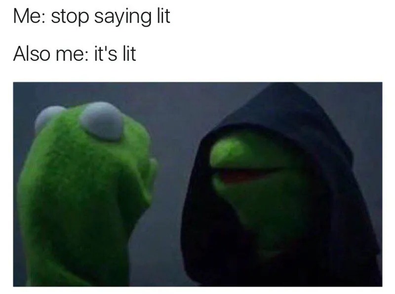 26 Best Evil Kermit Memes That Perfectly Capture Your Internal Struggle13