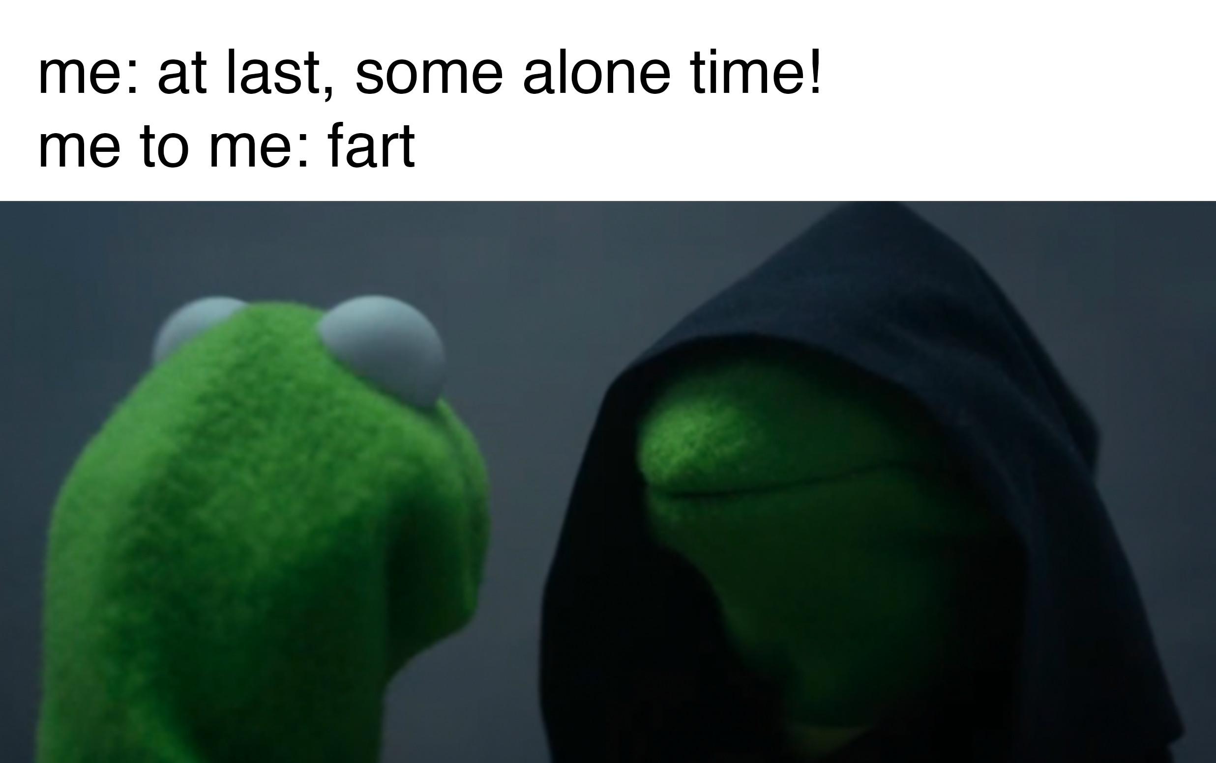 26 Best Evil Kermit Memes That Perfectly Capture Your Internal Struggle16