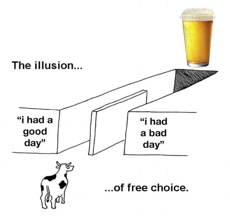 The illusion of free choice. / "i had a good day" / "i had a bad day"