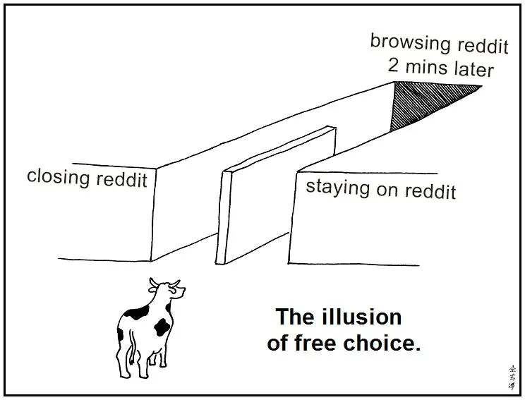 browsing reddit 2 mins later closing reddit staying on reddit The illusion of free choice.