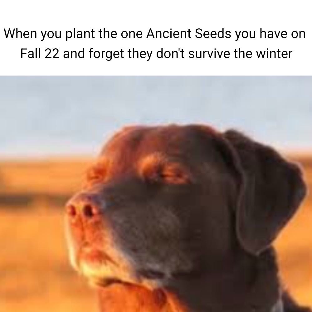 Dog Accepting Fate: Stardew Valley Ancient Seeds Fall 22 Meme Dog Relax