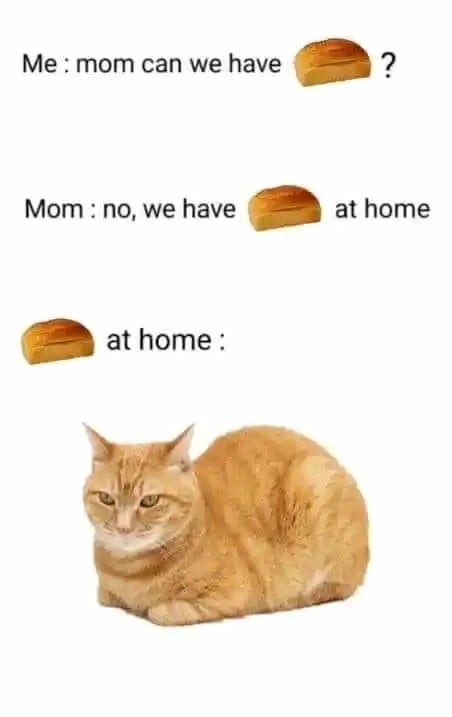 We Have X at Home: Mom Says We Have Bread At Home But It's a Cat Meme We Have X at Home: Mom Says We Have Bread At Home But It's a Cat Meme