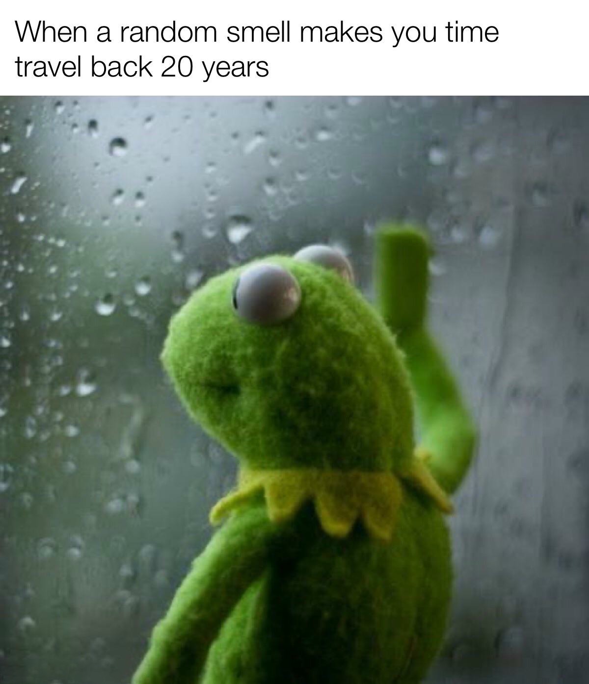 Kermit Window: When A Random Smell Makes You Time Travel Back 20 Years Meme Kermit Window: When A Random Smell Makes You Time Travel Back 20 Years Meme