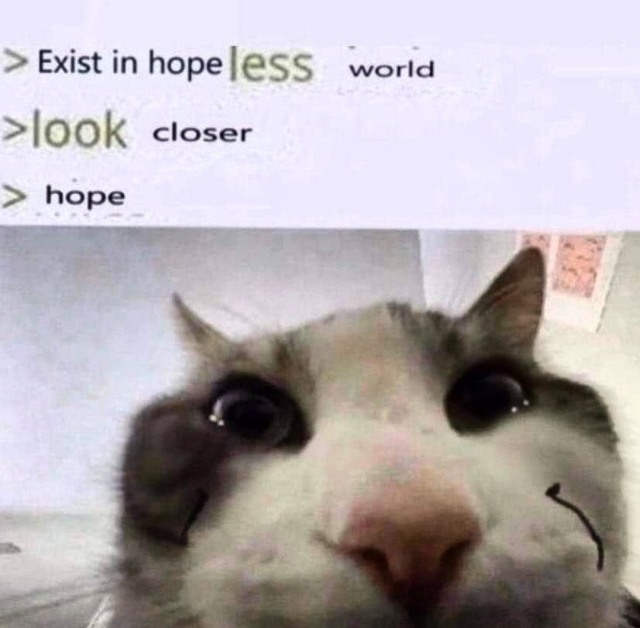 Hope in Hopeless World Meme: Look Closer at Hope