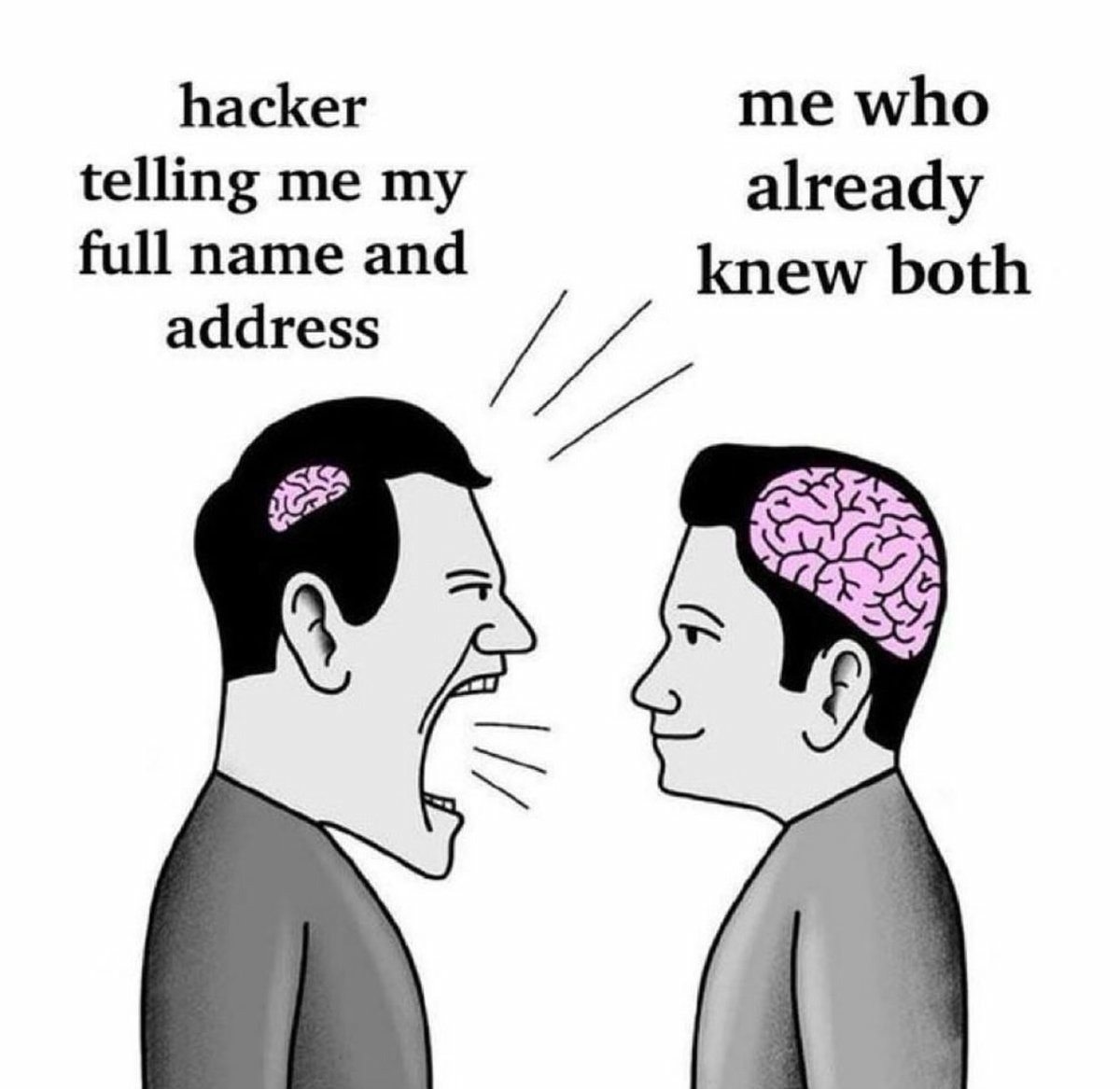 Small Brain Yelling at Big Brain Meme: hacker telling me my full name and address