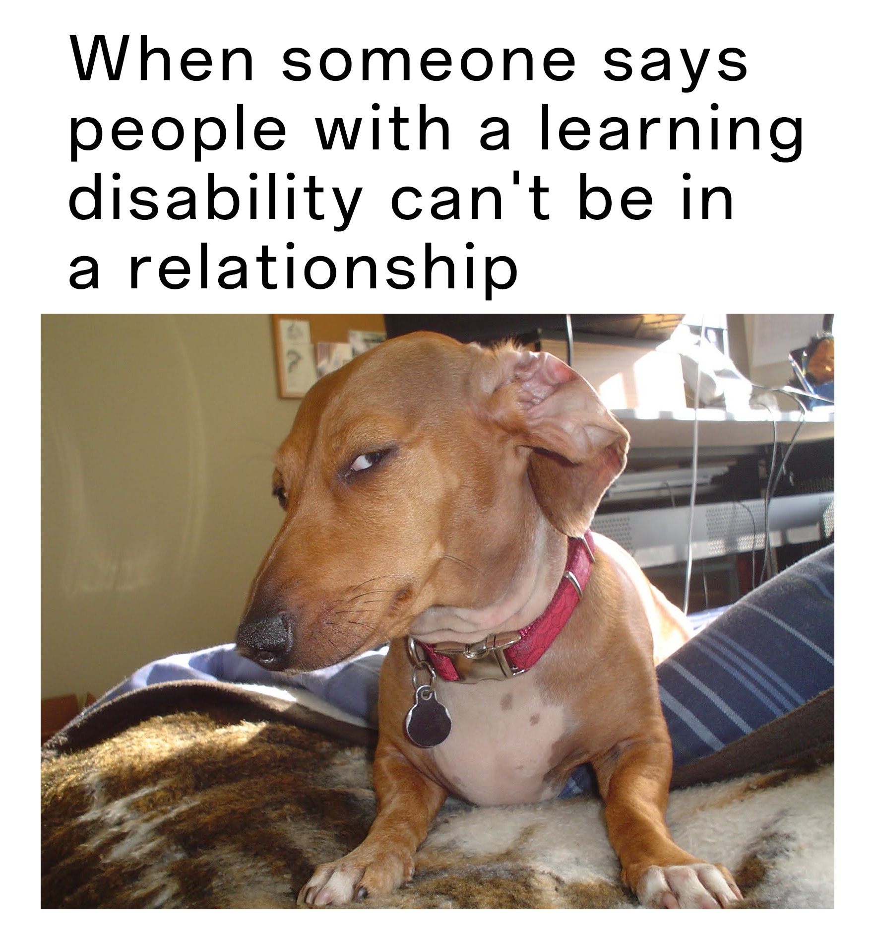 17 Suspicious Dog Memes That Perfectly Capture Your Sus Side-Eye Energy (11) 17 Suspicious Dog Memes That Perfectly Capture Your Sus Side-Eye Energy (11)