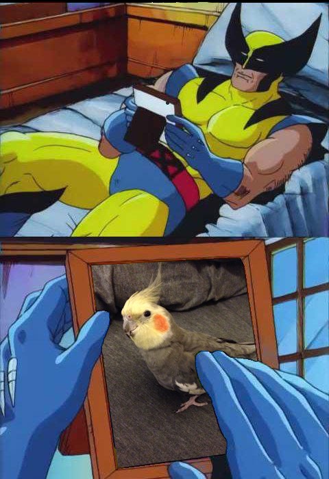 17 Wolverine Remembers Memes That Perfectly Capture What We’re All Missing (15) 17 Wolverine Remembers Memes That Perfectly Capture What We’re All Missing (15)