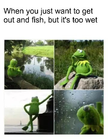 Kermit Waiting Meme: When you just want to get out and fish, but it's too wet