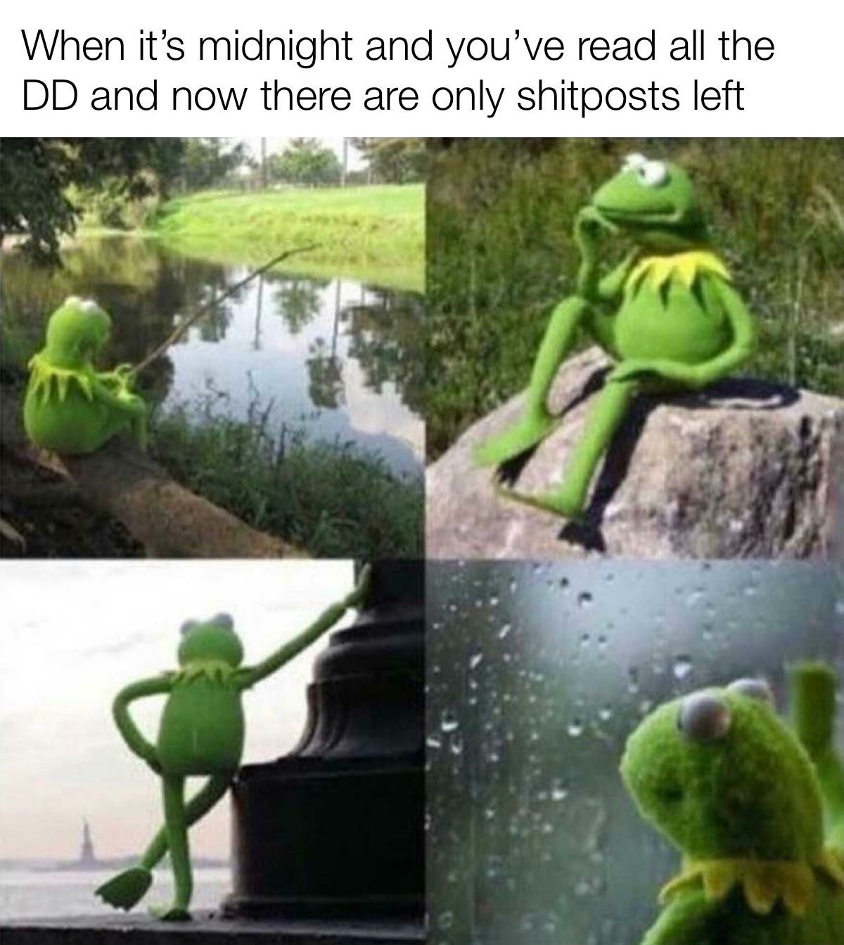 Kermit Waiting Meme: When it's midnight and you've read all the DD and now there are only shitposts left
