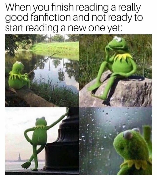 Kermit Waiting Meme: When you finish reading a really good fanfiction