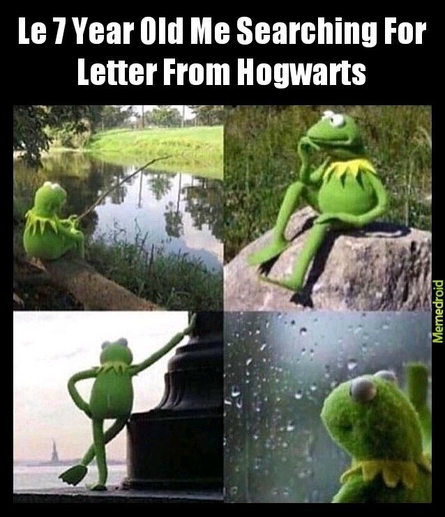 Kermit Waiting Meme: Le 7 year old me searching for letter from hogwarts
