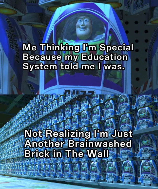 Buzz Lightyear Clone Meme: Me Thinking I'm Special Because my Education System told me I was