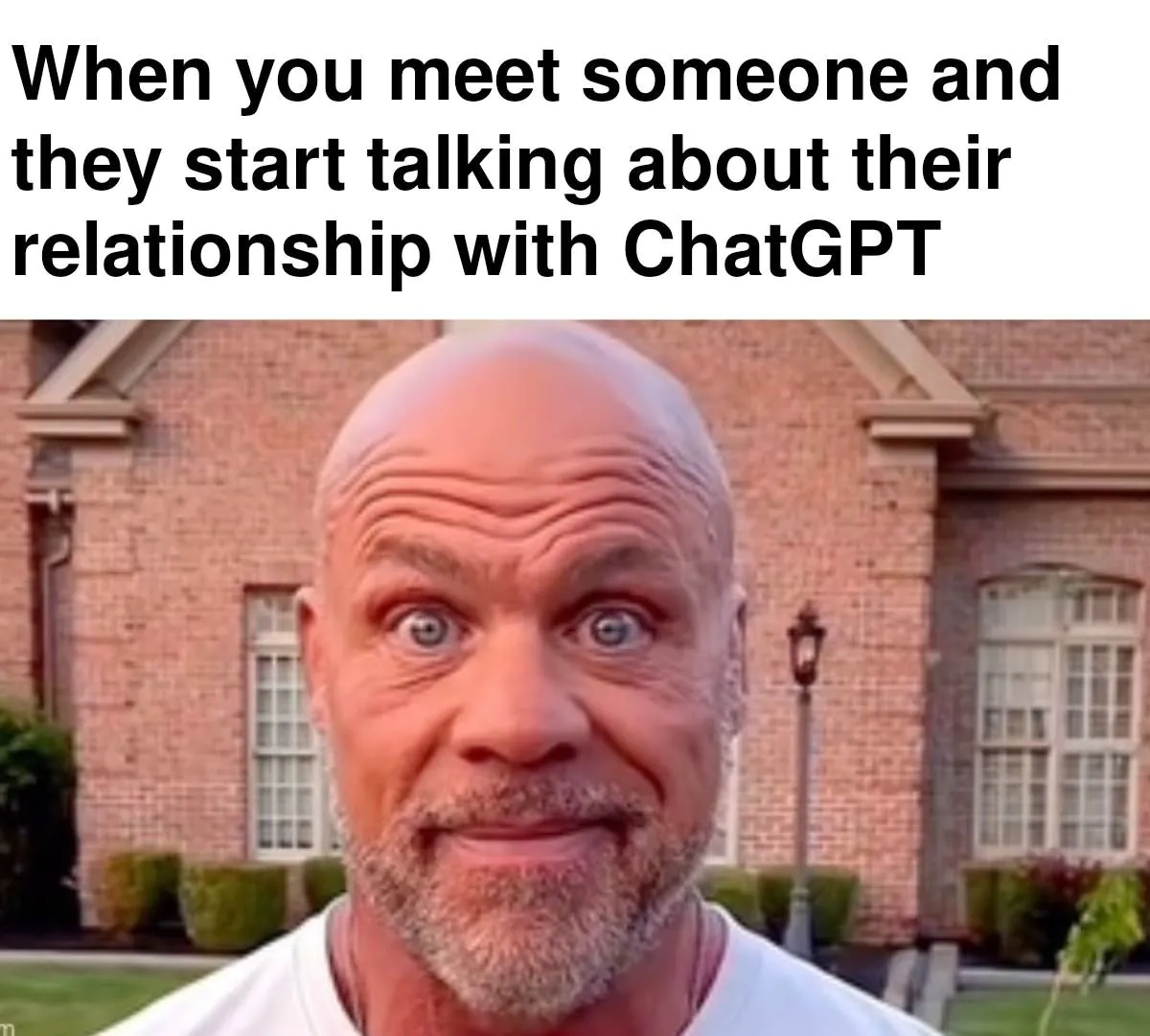 Bald Guy Staring Meme: When you meet someone and they start talking about their relationship with ChatGPT