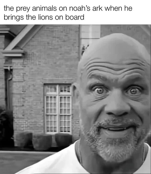 Bald Guy Staring Meme: The prey animals on noah's ark when he brings the lions on board