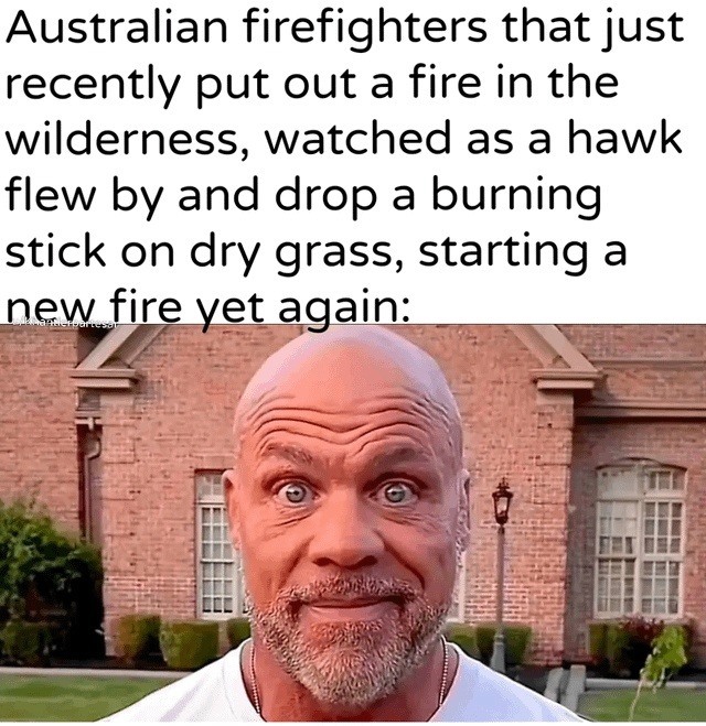 Bald Guy Staring Meme: Australian firefighters that just recently put out a fire in the wilderness