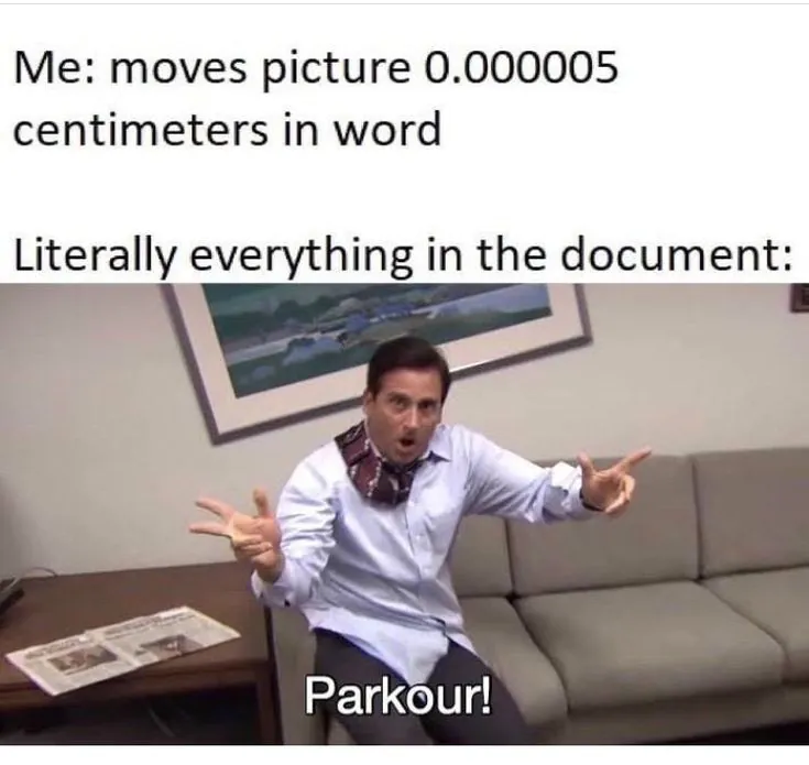 [Parkour! Meme] Me moves picture 0.000005 centimeters in word / Literally everything in the document