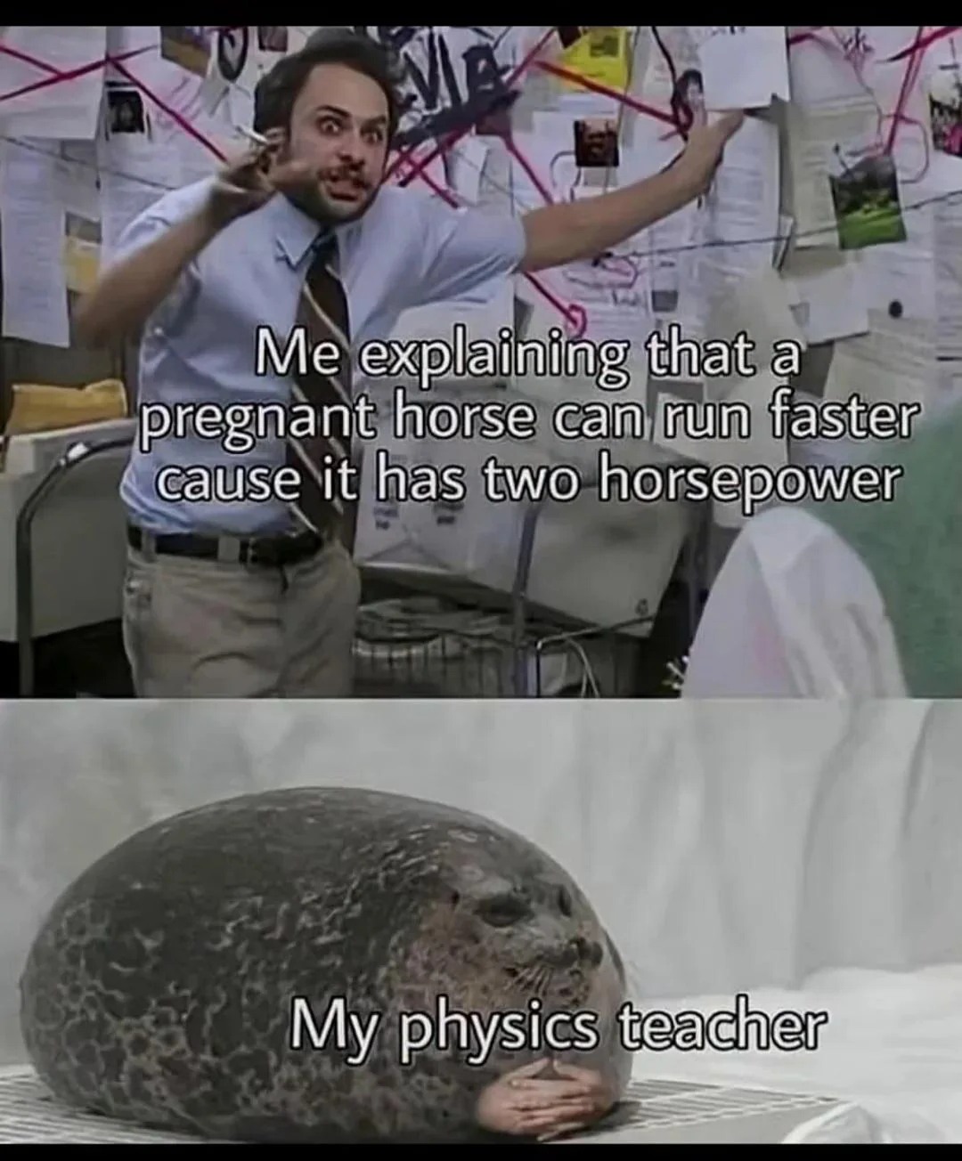 21 Pepe Silvia Memes For When Your Frantic Theories Actually Make Sense (9)