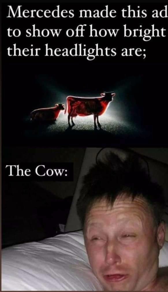 24 Times The Limmy Waking Up Meme Perfectly Described Post-Sleep Confusion (21)