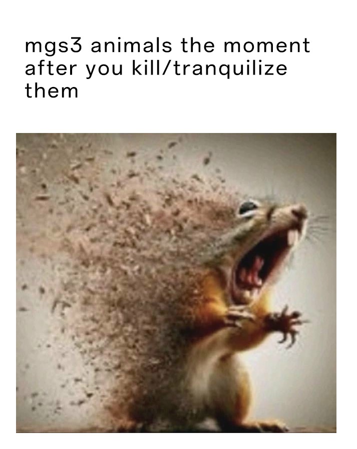 7 Dramatic Squirrel Disintegrating Memes That Perfectly Capture Your Daily Existential Dread (6) 7 Dramatic Squirrel Disintegrating Memes That Perfectly Capture Your Daily Existential Dread (6)
