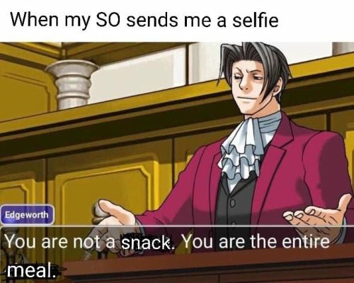 You Are The Entire Circus: When My SO Sends a Selfie: Edgeworth's Iconic "Entire Meal" Meme