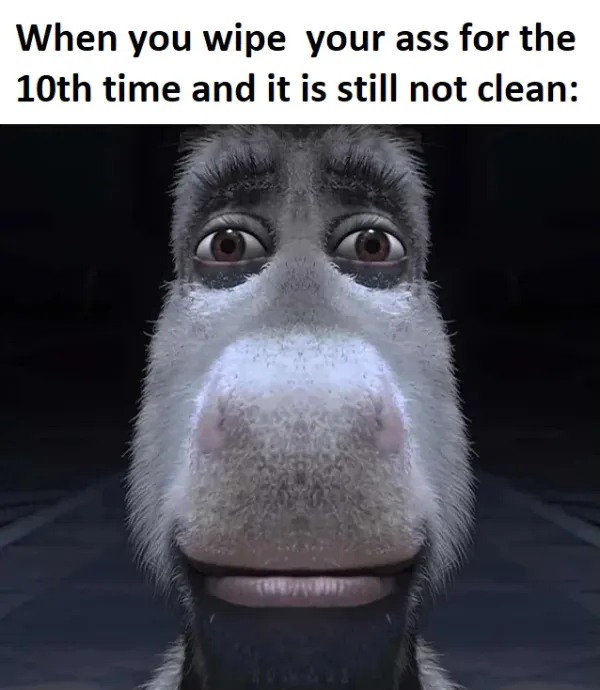 Donkey Staring Meme: When you wipe your ass for the 10th time and it is still not clean
