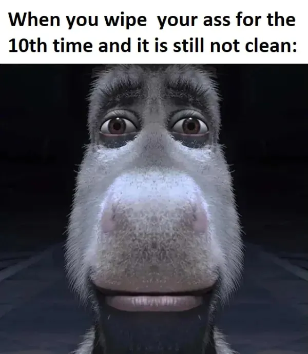 Donkey Staring Meme: When you wipe your ass for the 10th time and it is still not clean Donkey Staring Meme: When you wipe your ass for the 10th time and it is still not clean