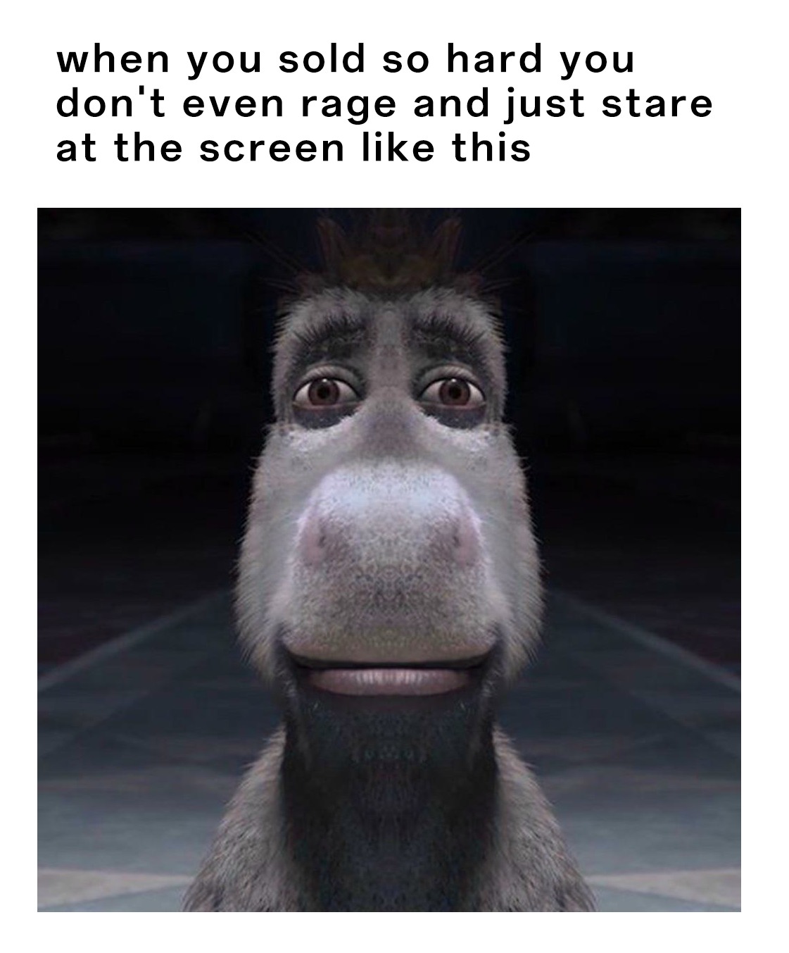 Donkey Staring Meme: when you sold so hard you don't even rage and just stare at the screen like this