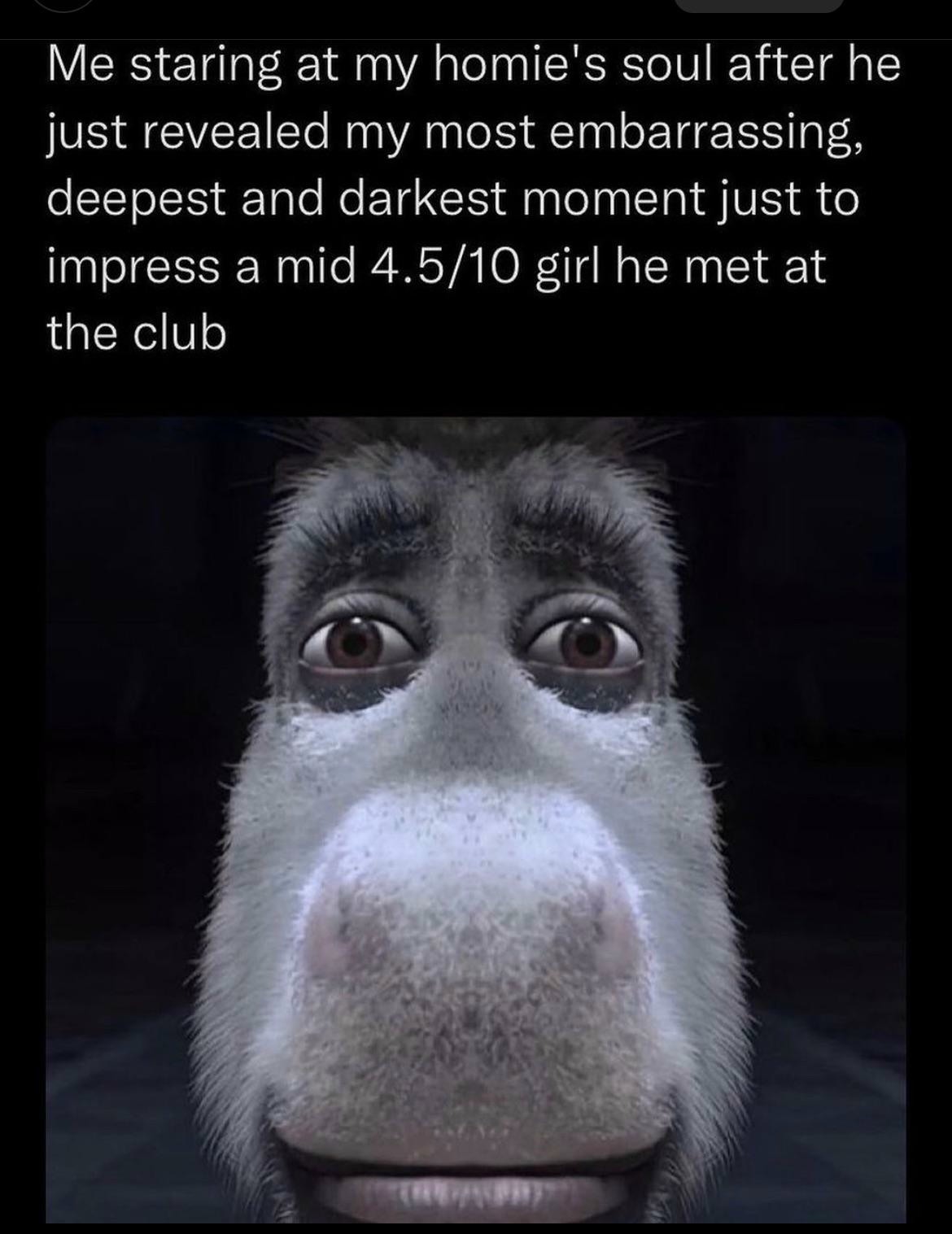 Donkey Staring Meme: Me staring at my homie's soul after he just revealed my most embarrassing