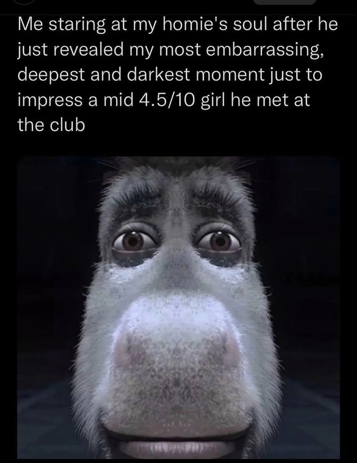 Donkey Staring Meme: Me staring at my homie's soul after he just revealed my most embarrassing Donkey Staring Meme: Me staring at my homie's soul after he just revealed my most embarrassing