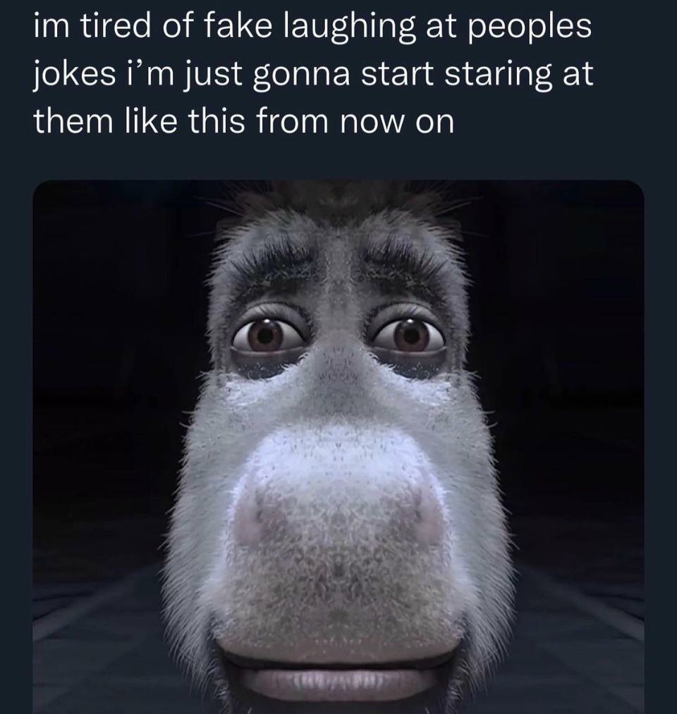 Donkey Staring Meme: im tired of fake laughing at peoples jokes