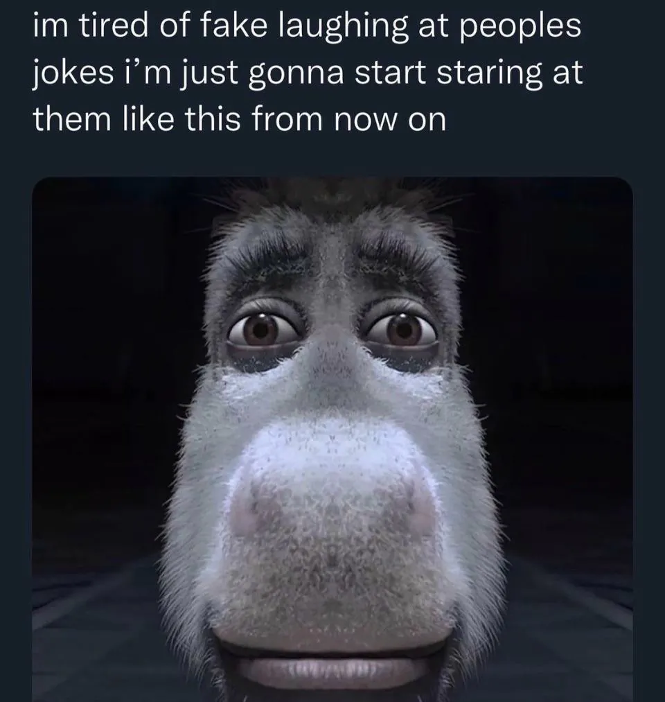 Donkey Staring Meme: im tired of fake laughing at peoples jokes Donkey Staring Meme: im tired of fake laughing at peoples jokes
