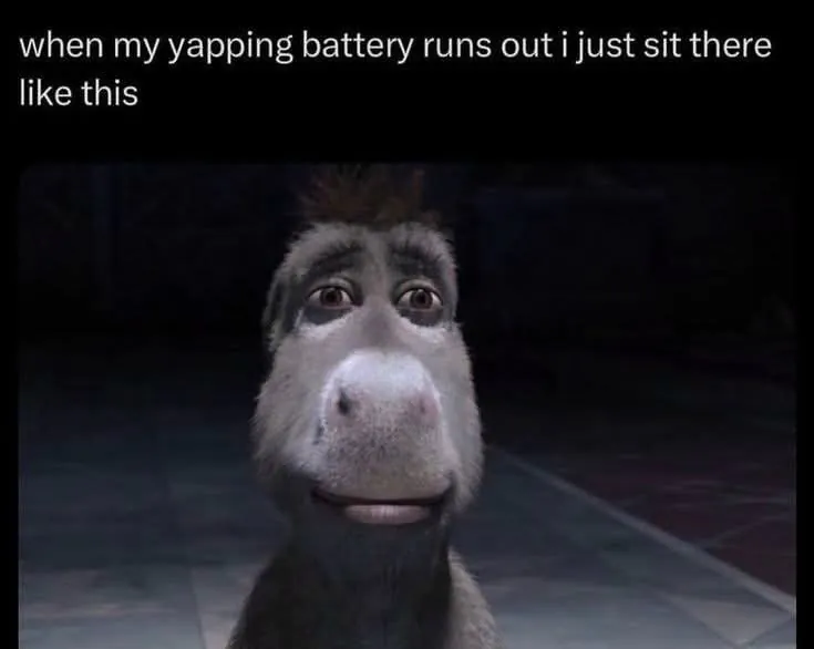Donkey Staring Meme: when my yapping battery runs out i just sit there like this Donkey Staring Meme: when my yapping battery runs out i just sit there like this