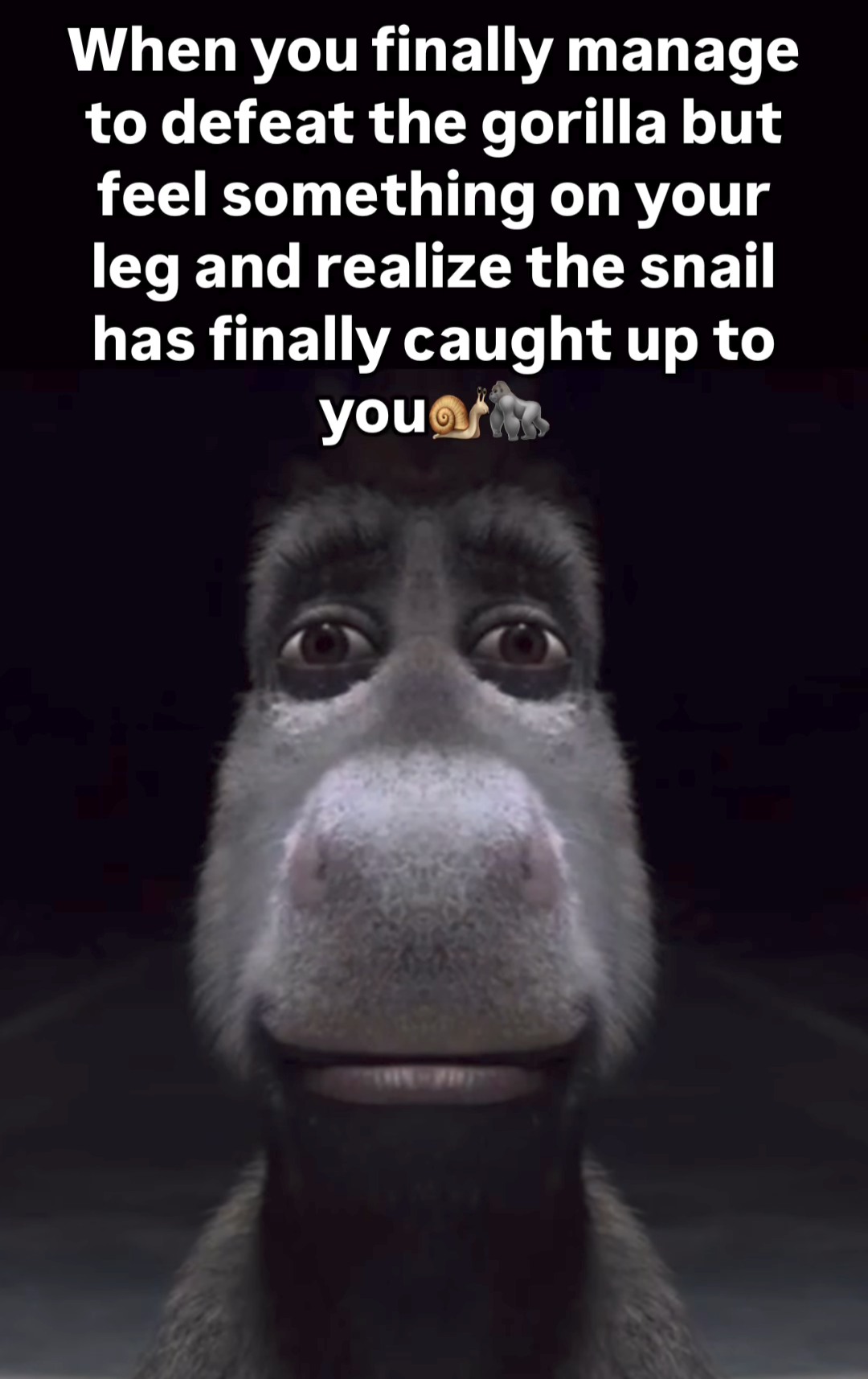 Donkey Staring Meme: When you finally manage to defeat the gorilla