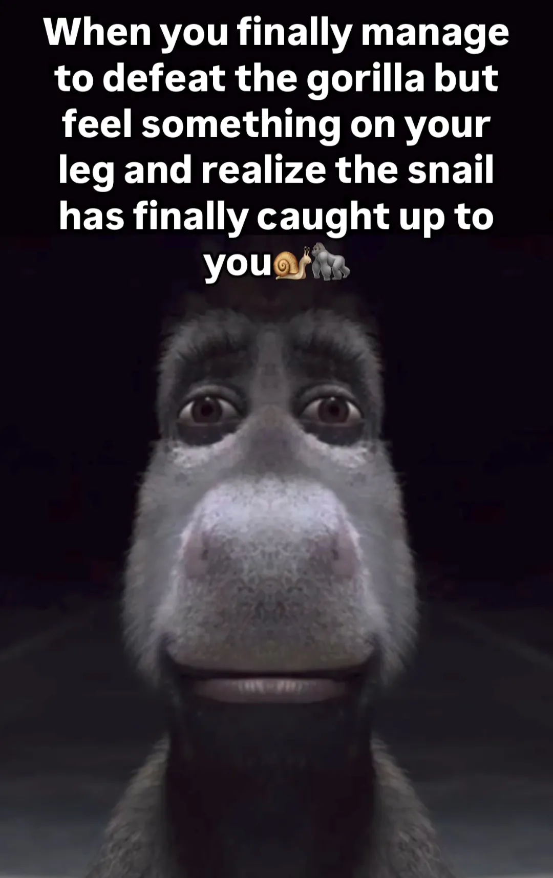 Donkey Staring Meme: When you finally manage to defeat the gorilla Donkey Staring Meme: When you finally manage to defeat the gorilla
