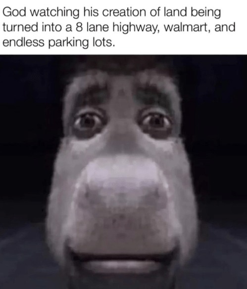 Donkey Staring Meme: God watching his creation of land being turned into a 8 lane highway