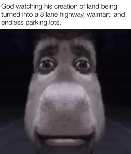 Donkey Staring Meme: God watching his creation of land being turned into a 8 lane highway Donkey Staring Meme: God watching his creation of land being turned into a 8 lane highway