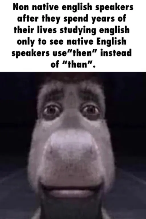 Donkey Staring Meme: Non native english speakers after they spend years of their lives studying english Donkey Staring Meme: Non native english speakers after they spend years of their lives studying english