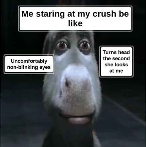 Donkey Staring Meme: Me staring at my crush be like