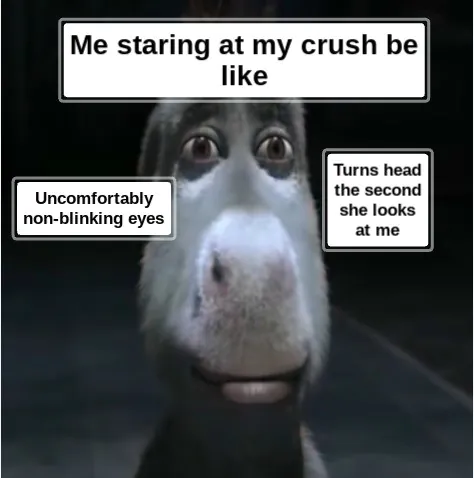 Donkey Staring Meme: Me staring at my crush be like Donkey Staring Meme: Me staring at my crush be like