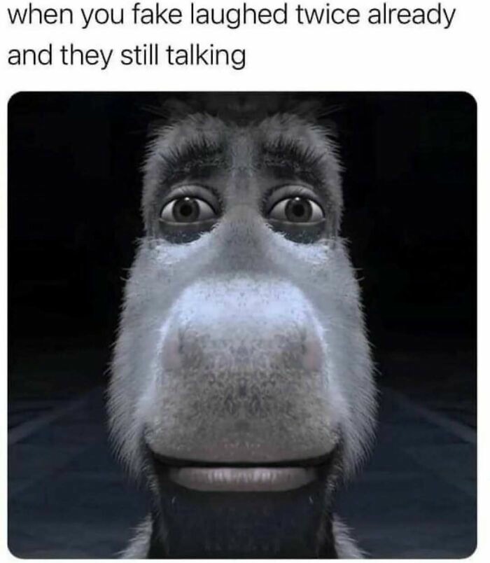 Donkey Staring Meme: when you fake laughed twice already and they still talking
