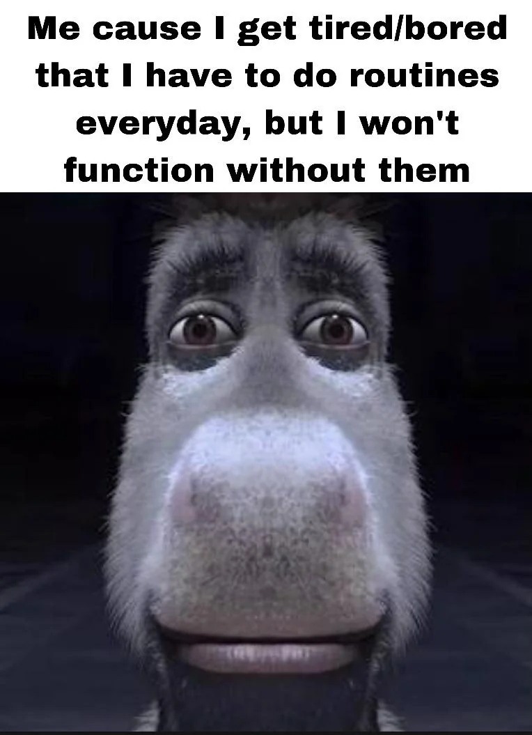 Donkey Staring Meme: Me cause I get tired/bored that I have to do routines everyday