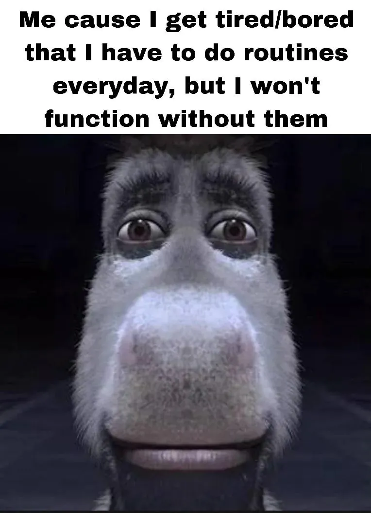 Donkey Staring Meme: Me cause I get tired/bored that I have to do routines everyday Donkey Staring Meme: Me cause I get tired/bored that I have to do routines everyday