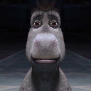 16 Donkey Staring Memes That Perfectly Capture the Feeling of Pure Disbelief