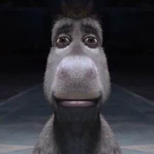 16 Donkey Staring Memes That Perfectly Capture the Feeling of Pure Disbelief